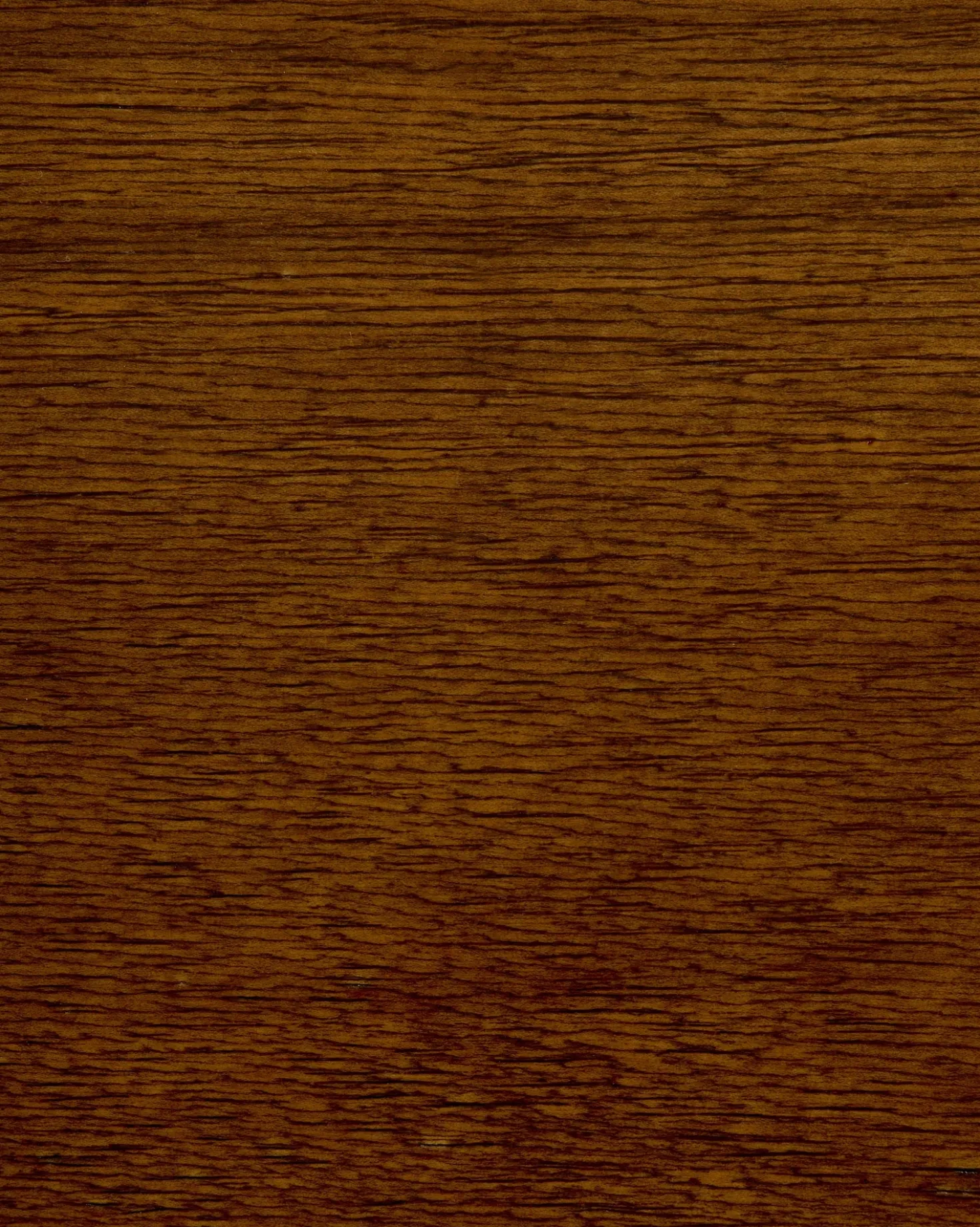 Set di 2 sedie da pranzo MINIER Legno Verde/Marrone scuro