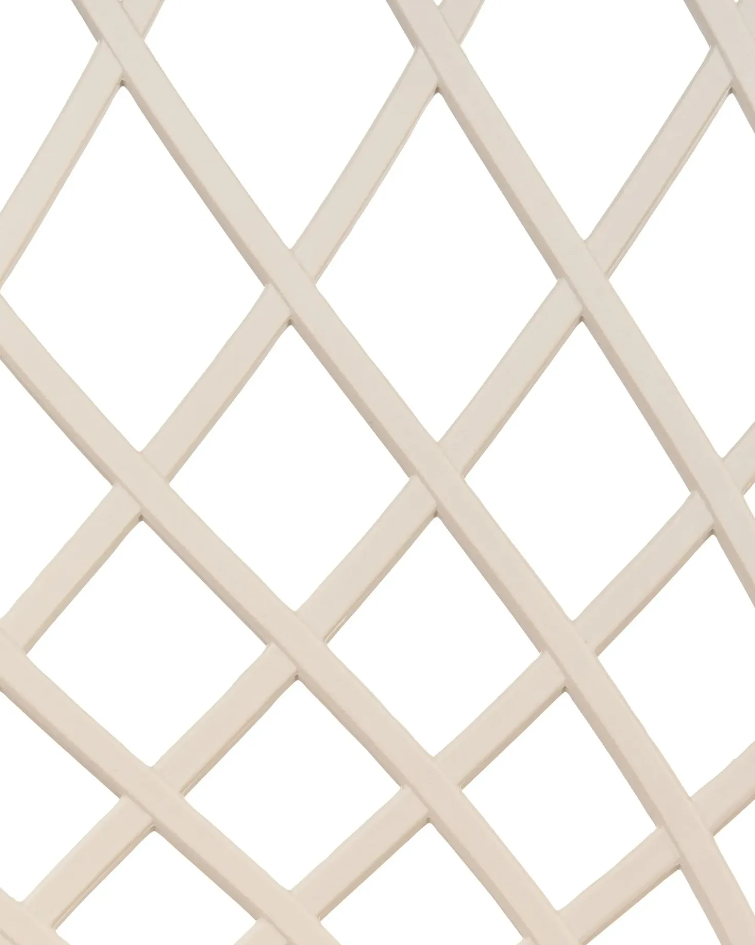 Set di 2 sedie da pranzo NASHUA Beige