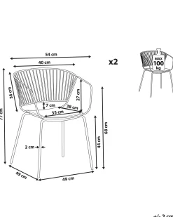 Set di 2 sedie da pranzo RIGBY Metallo Oro