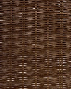 Set di 2 sedie da pranzo ROXTON Rattan Marrone scuro