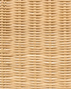 Set di 2 sedie da pranzo ROXTON Rattan Naturale