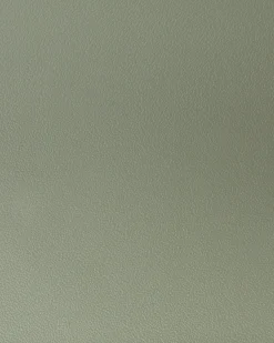 Set di 2 sedie da pranzo SIBLEY Verde chiaro