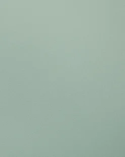 Set di 2 sedie da pranzo SOMERS Verde menta