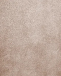 Set di 2 sedie da pranzo TERLTON Velluto Beige