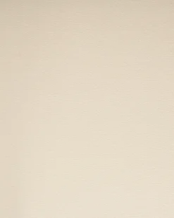 Set di 2 sedie da pranzo ZANA Pelle sintetica Beige chiaro