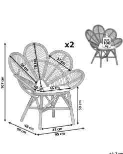 Set di 2 sedie Peacock FLORENTINE Rattan Naturale