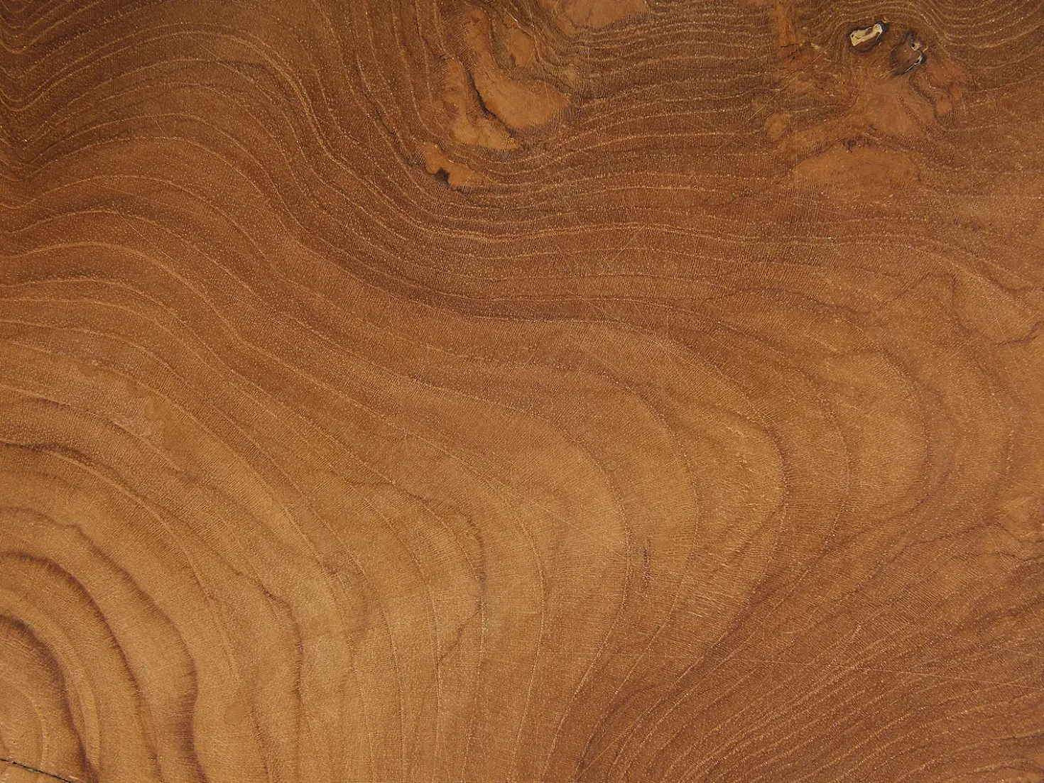 Set di 2 tavolini CAMROSE Legno di teak Marrone scuro