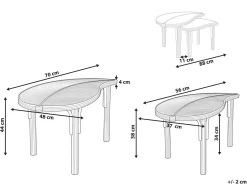 Set di 2 tavolini da caffè PARALIA Rattan Naturale