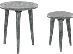 Set di 2 tavolini JATRA Legno di mango Grigio