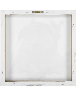 Set di 3 tele MENAKA Motivo animale 30 x 30 cm Multicolore