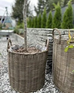 Set di 2 vasi da fiori in vimini BITOLA Rattan sintetico (PE) 40/48 cm Marrone