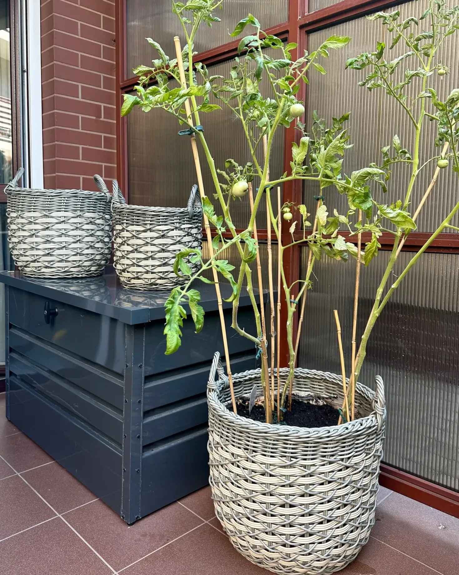 Set di 3 vasi da fiori in vimini GEFIRA Rattan sintetico (PE) 31/39/49 cm Grigio