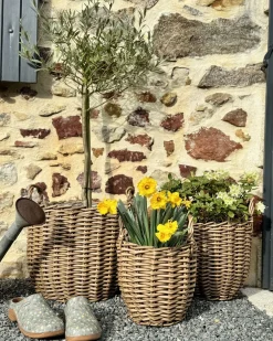 Set di 3 vasi da fiori in vimini AUCUBA 26/34/44 cm Marrone chiaro