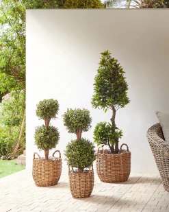 Set di 3 vasi da fiori in vimini AUCUBA 26/34/44 cm Marrone chiaro