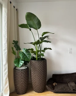 Set di 2 vasi per piante CEDRUS Rattan sintetico (PE) 37/45 cm Marrone