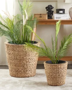 Set di 3 vasi per piante PLAKA Giacinto d'acqua 29/37/49 cm Naturale