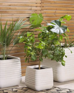 Set di 3 vasi per piante PARIKIA 50/38/28 cm Bianco sporco