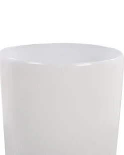 Set di 2 vasi per piante TSERIA 32 cm Bianco