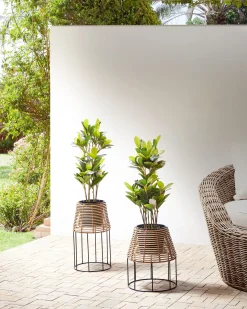 Set di 2 vasi rialzati per piante BORAGO Rattan sintetico (PE) 20/21 cm Naturale