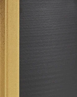 Set di 2 vasi rialzati per piante THUJA Metallo 21 cm Nero