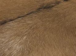 Sgabello DALTON Pelle naturale Marrone