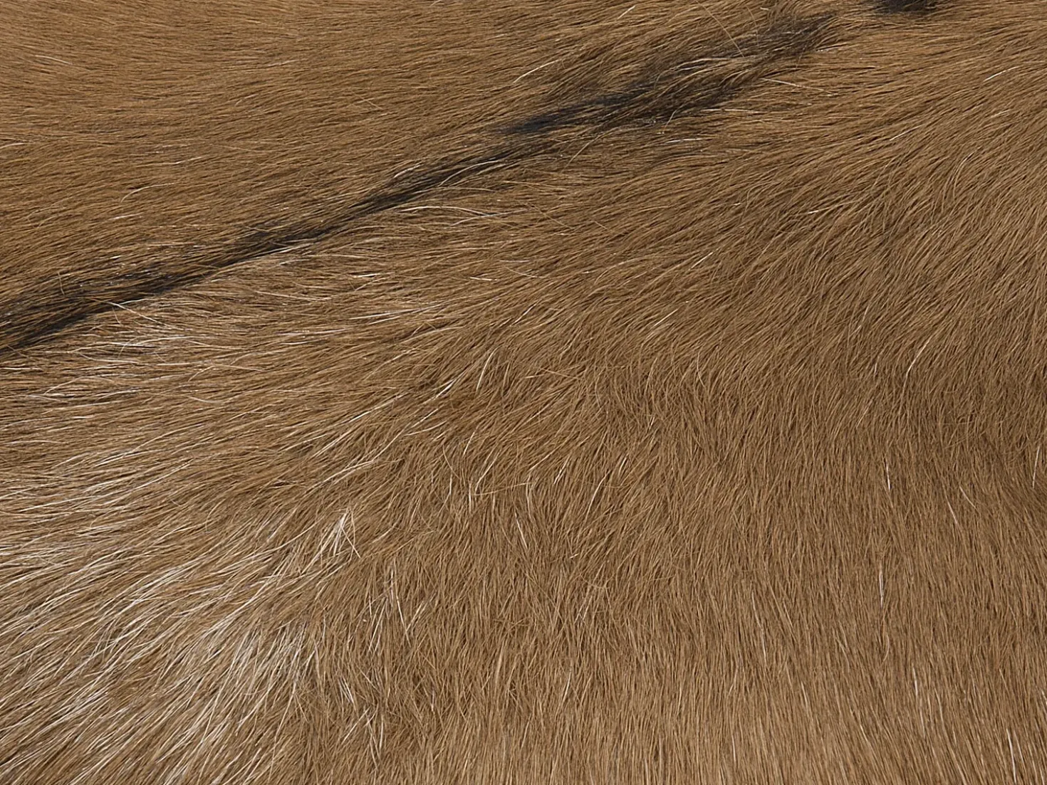 Sgabello DALTON Pelle naturale Marrone