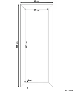 Specchio DERVAL 50 cm 130 cm Argento