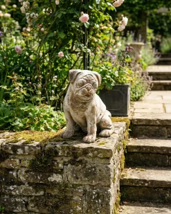 Statua da giardino SARNANO Cane Beige