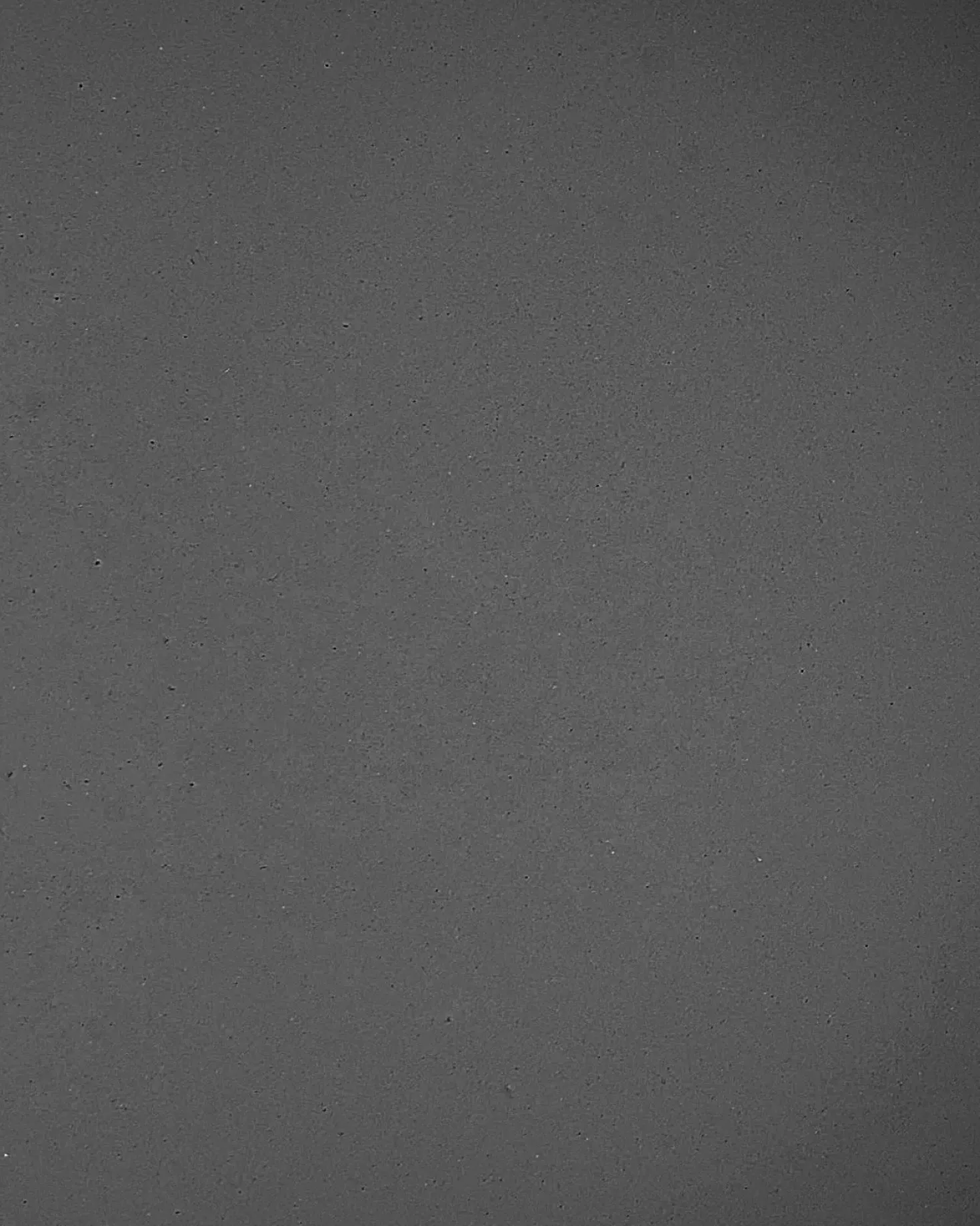 Supporto per vasi FRAGARIA Metallo 42 cm Nero