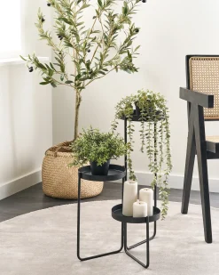 Supporto per vasi FRAGARIA Metallo 42 cm Nero
