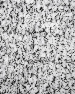 Tappeto Shaggy DEMRE Grigio 200 x 300 cm
