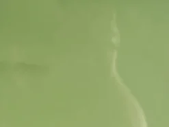 Tavolino da caffè ONDLE Verde