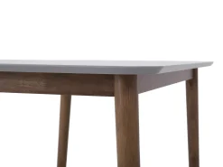 Tavolo da pranzo MODESTO Grigio 120 cm 80 cm Legno