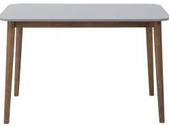 Tavolo da pranzo MODESTO Grigio 120 cm 80 cm Legno