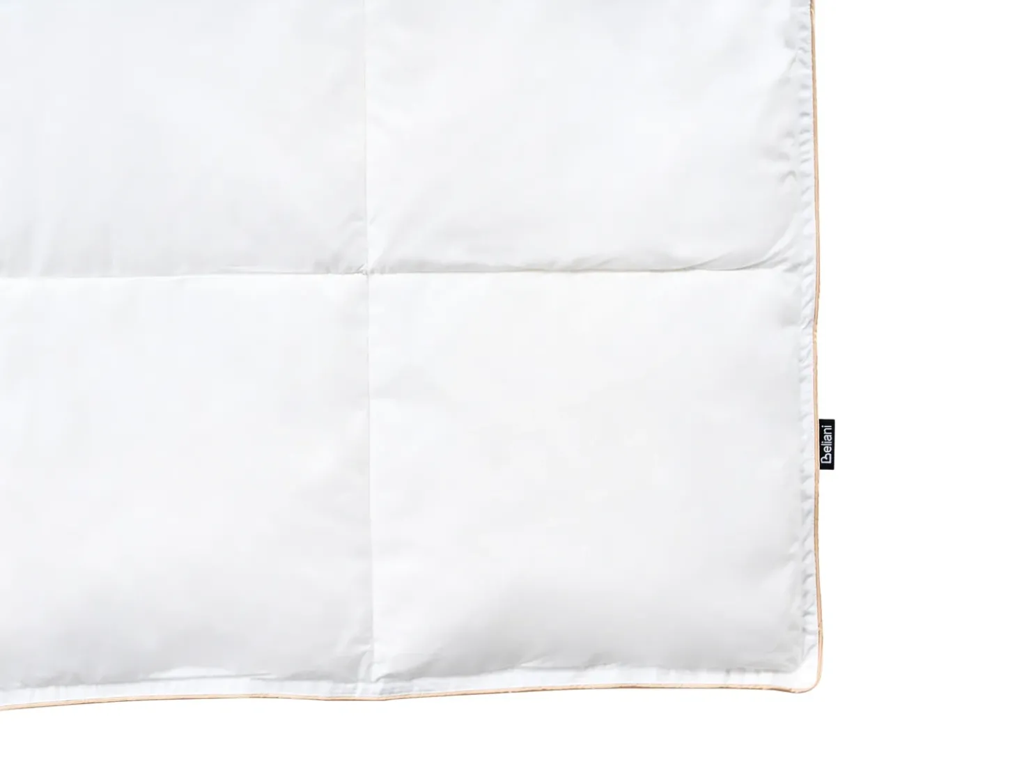 Trapunta Piumino d'anatra Medio caldo EIGER 220 x 240 cm