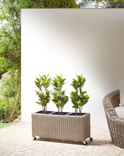 Vaso per piante BELLIS Rattan sintetico (PE) 82 cm Marrone chiaro