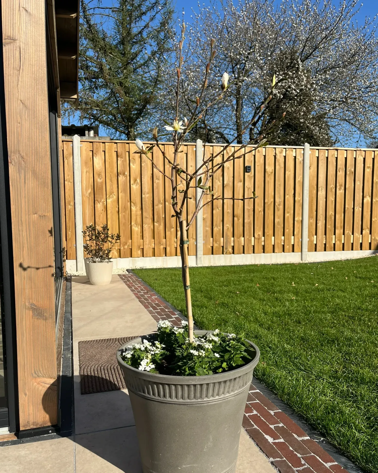Vaso per piante CISTUS 44 cm Grigio