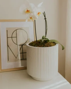 Vaso per piante DARIA 24 cm Bianco sporco