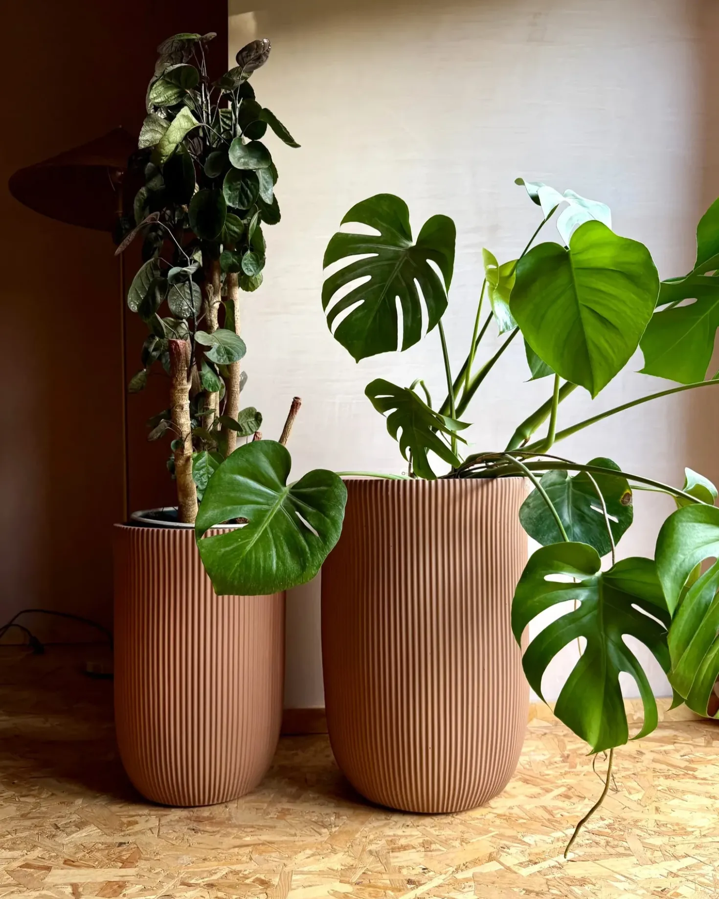 Vaso per piante EANTIO 30 cm Marrone