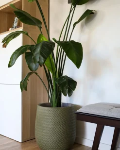 Vaso per piante LIVADIA 39 cm Verde oliva