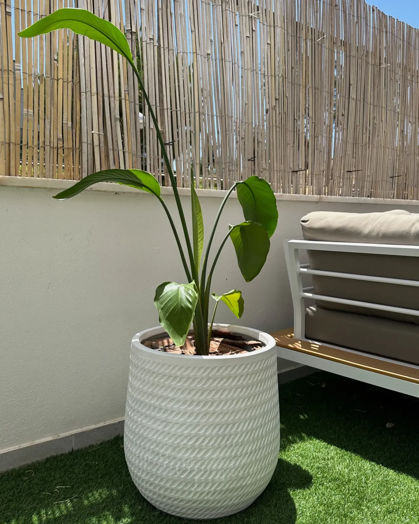 Vaso per piante LIVADIA 39 cm Bianco sporco