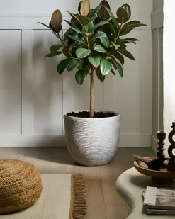 Vaso per piante LIXOURI 47 cm Grigio chiaro