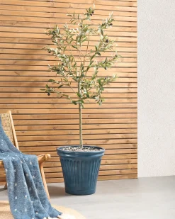 Vaso per piante MAIZE 43 cm Blu