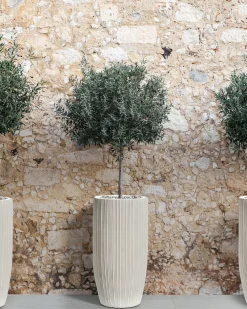 Vaso per piante ZELKOVA 35 cm Beige chiaro