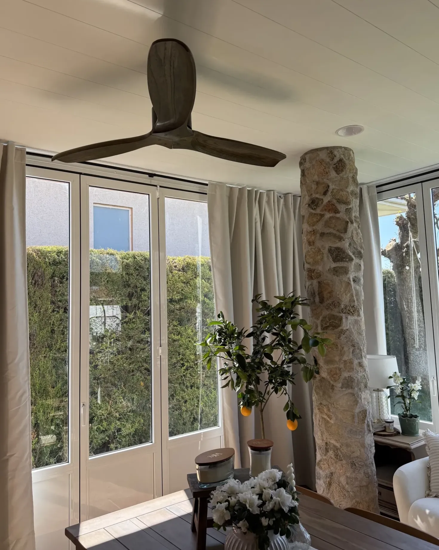Ventilatore a soffitto ARANI con telecomando Marrone scuro